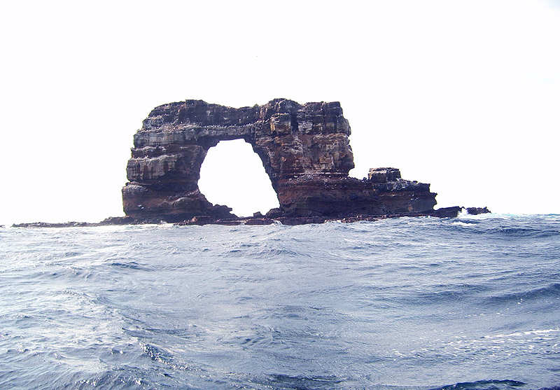 Darwin Arch